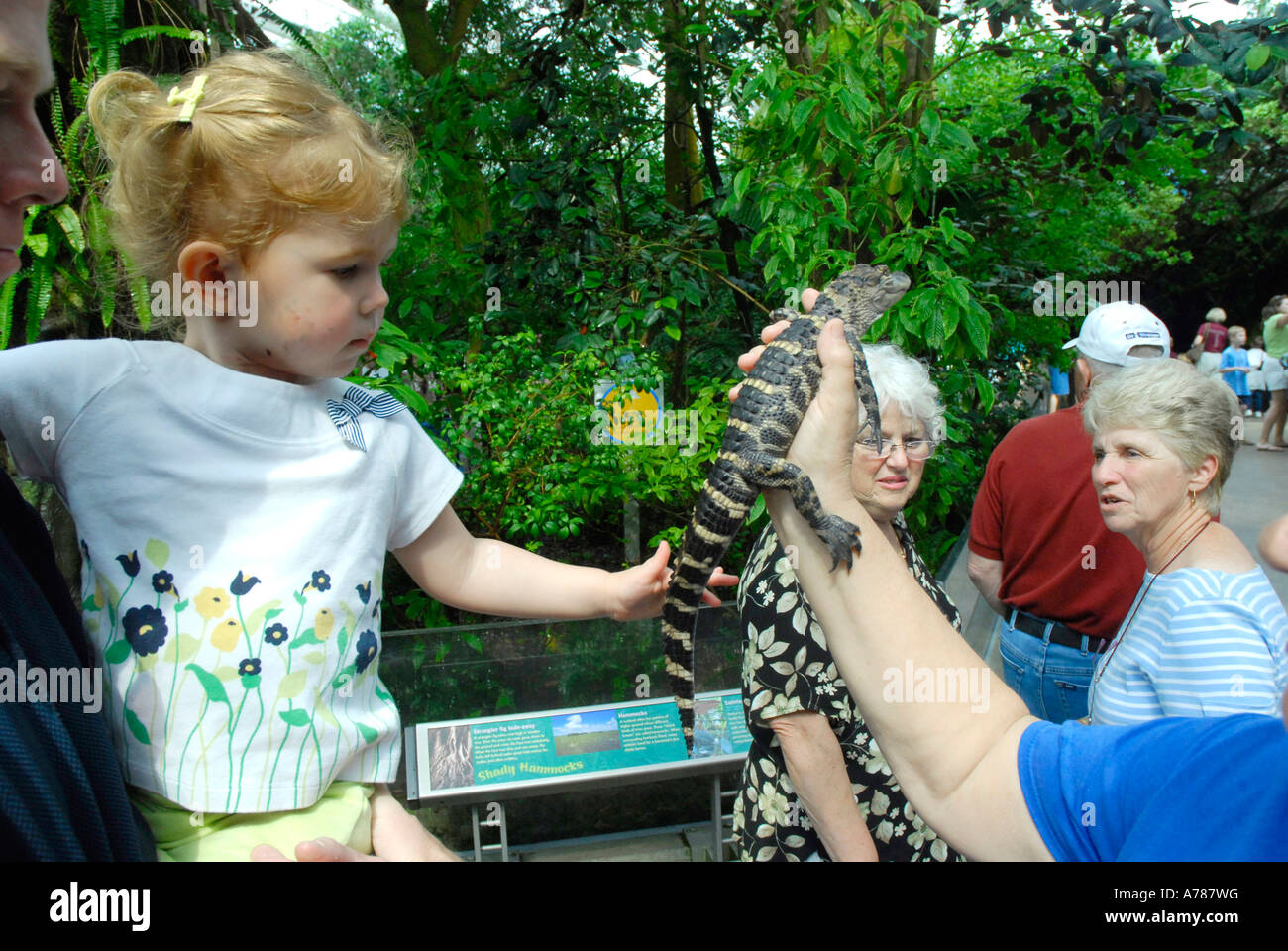 Children touch reptiles at the Florida Aquarium in Tampa Florida FL Stock Photo