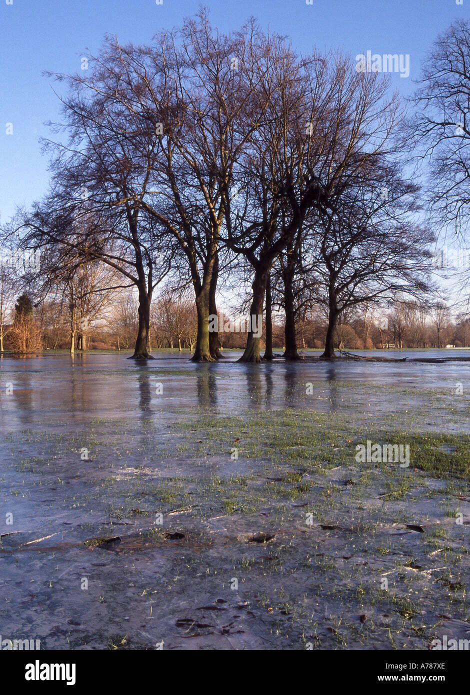 Thames floodwater freezes during a cold snap, Home Park, Windsor, Berkshire Stock Photo