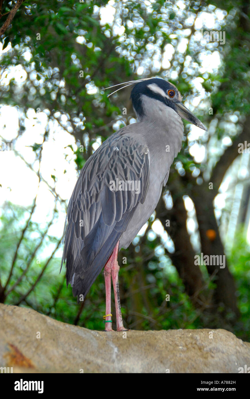 A large variety of aquatic fish plants birds and animals are on display
