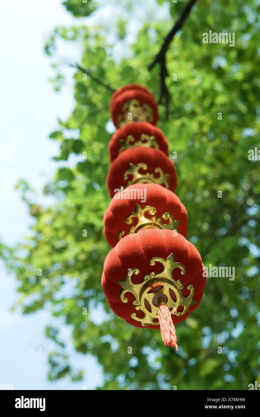 Lanterns hanging from tree Stock Photo Alamy