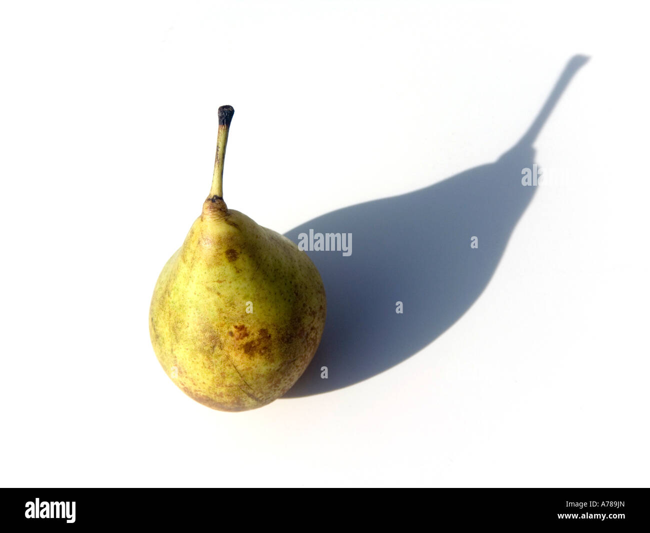 pear fruit on a white backgrond Stock Photo