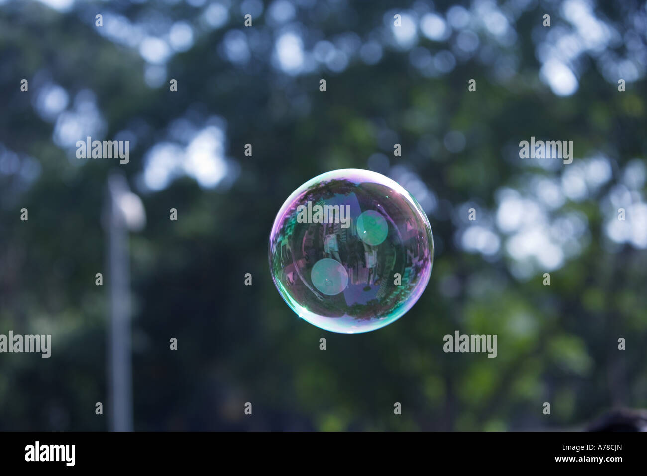 Bubble floating in air Stock Photo Alamy