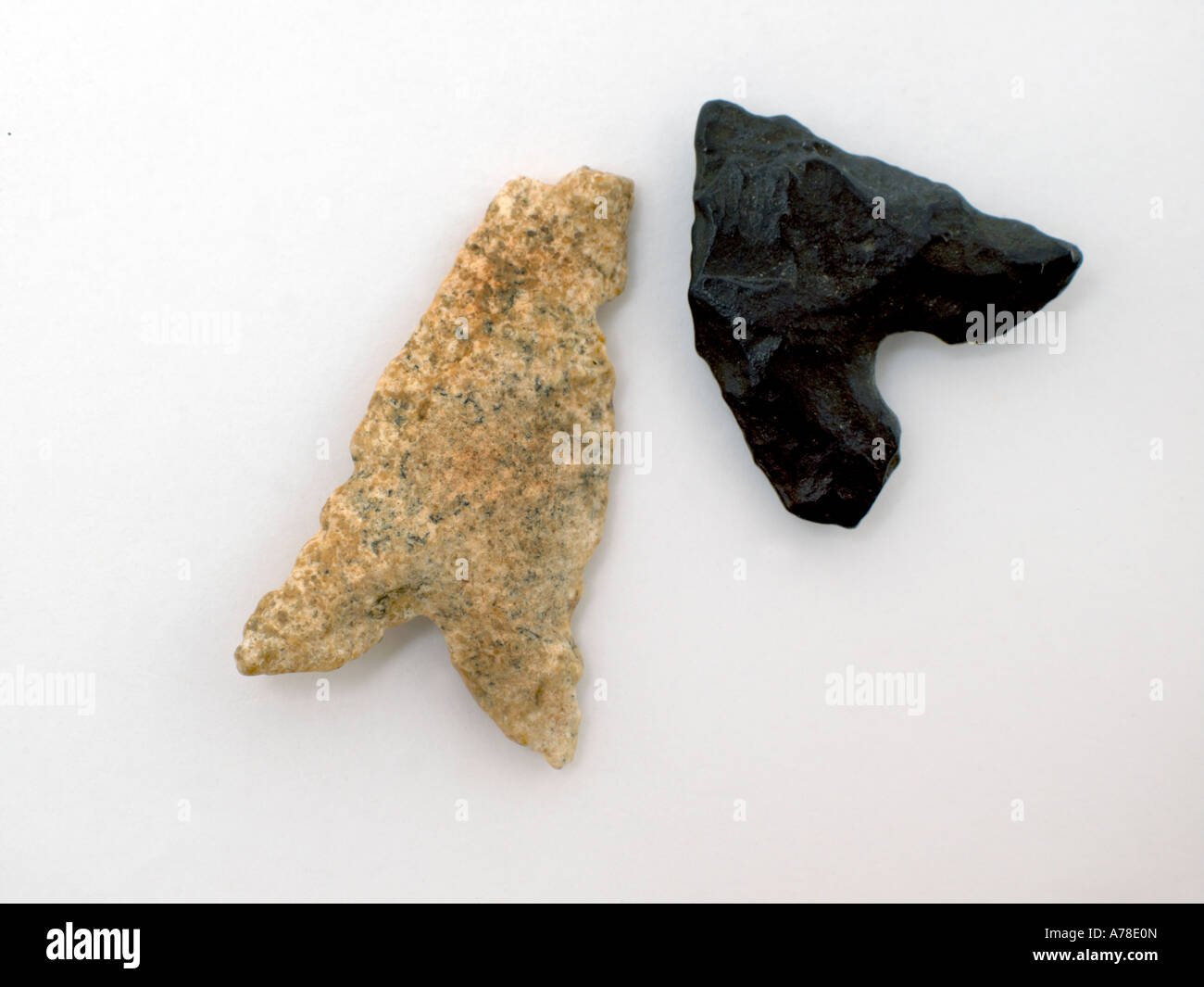 Late Neolithic Arrowheads 4000-6000 Years Old Algeria North Africa Stock Photo