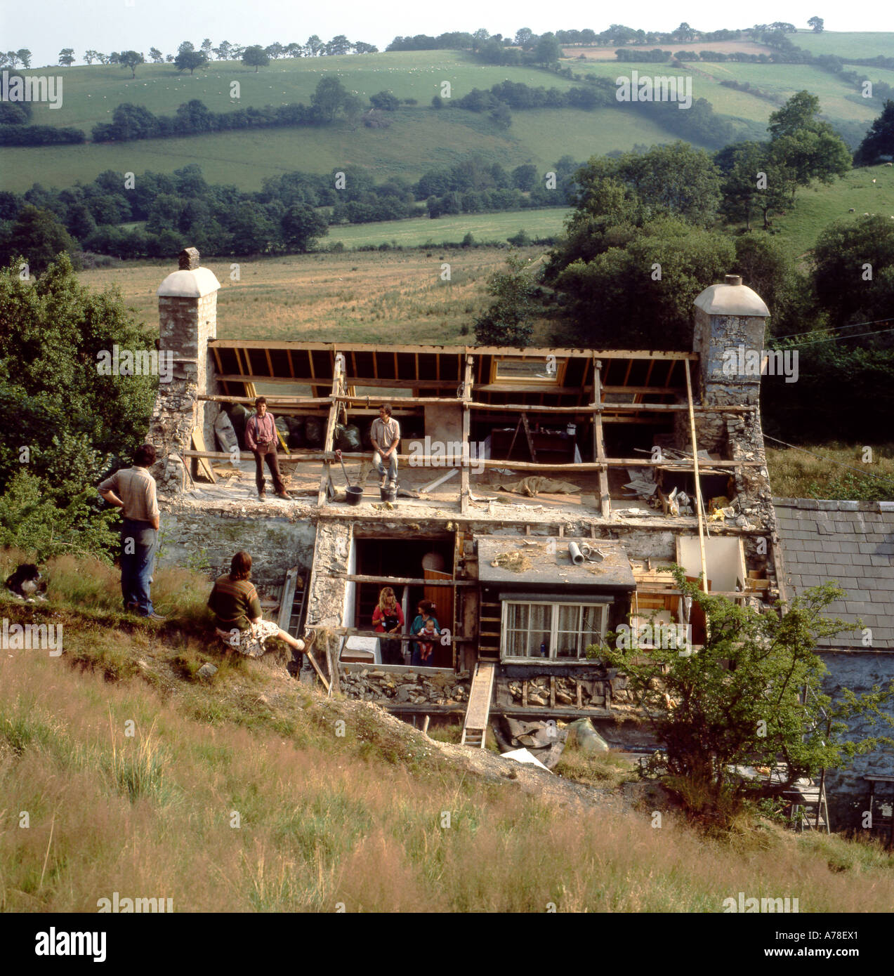 New roof construction on a traditional Welsh cottage, Llanwrda, Wales, UK  KATHY DEWITT Stock Photo