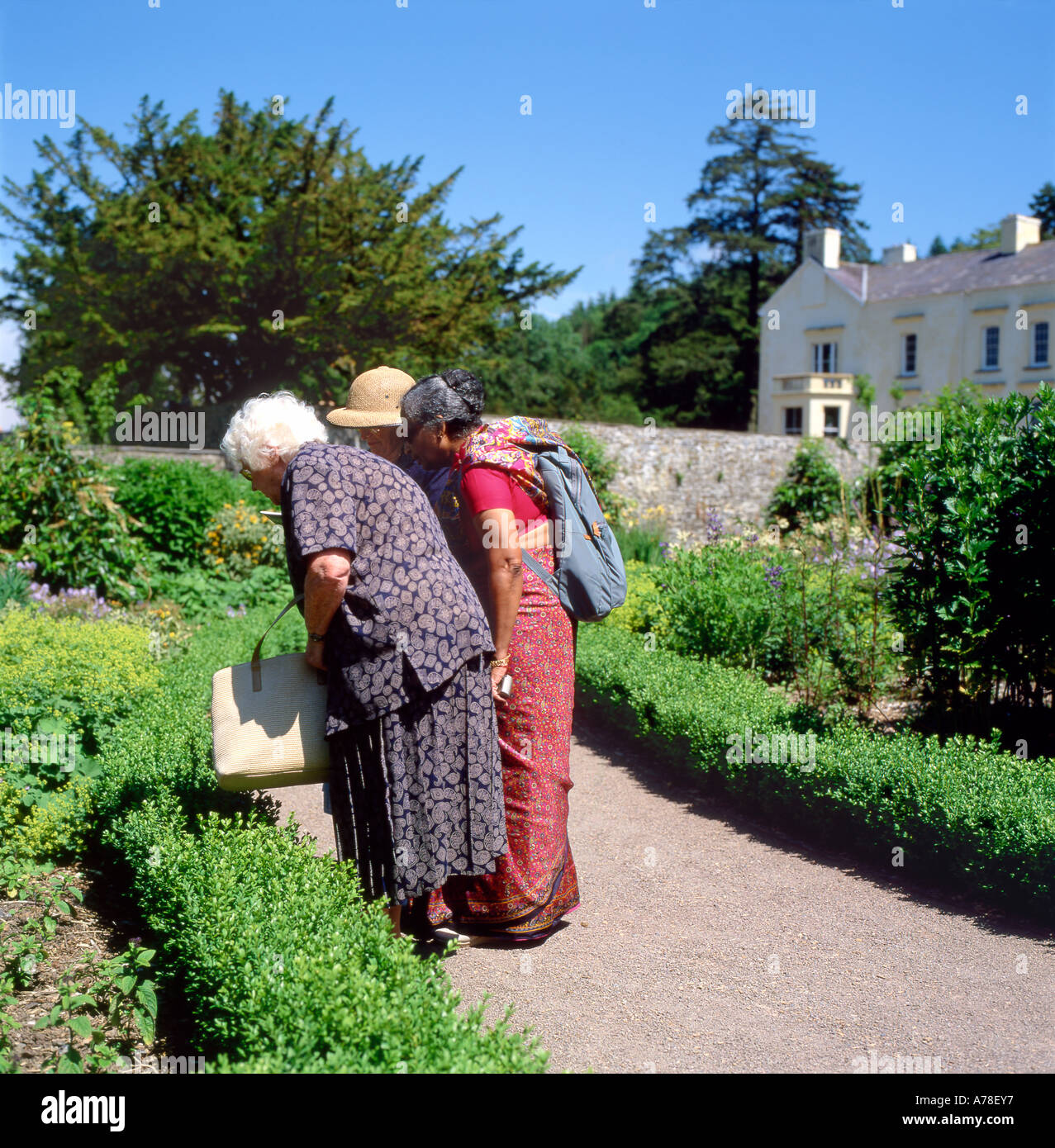 People visitors seniors older women visiting Penelope Hobhouse garden  at Aberglasney Gardens Llangathen Llandeilo in Carmarthenshire Wales UK Stock Photo