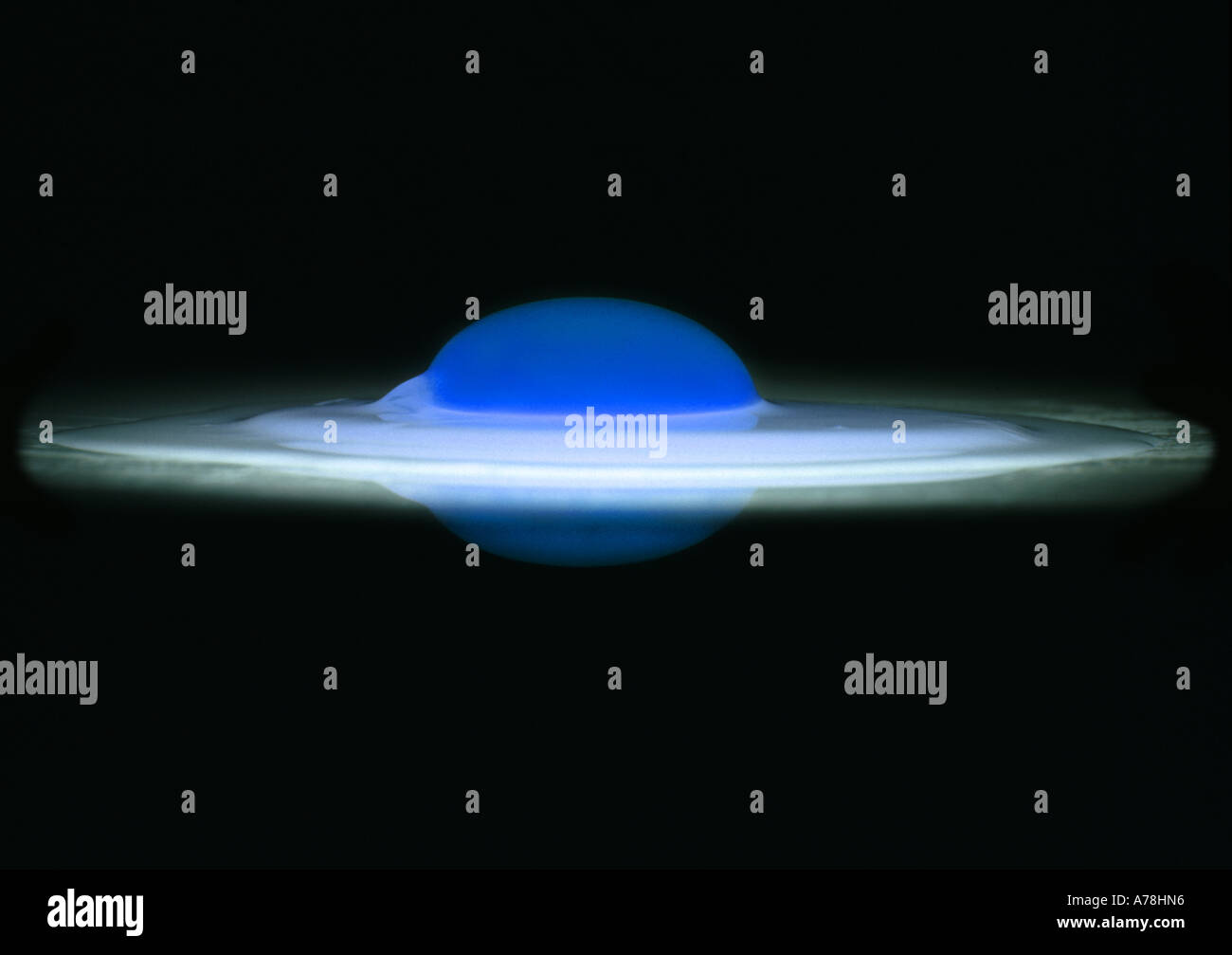 Egg yolk with reflection. Stock Photo