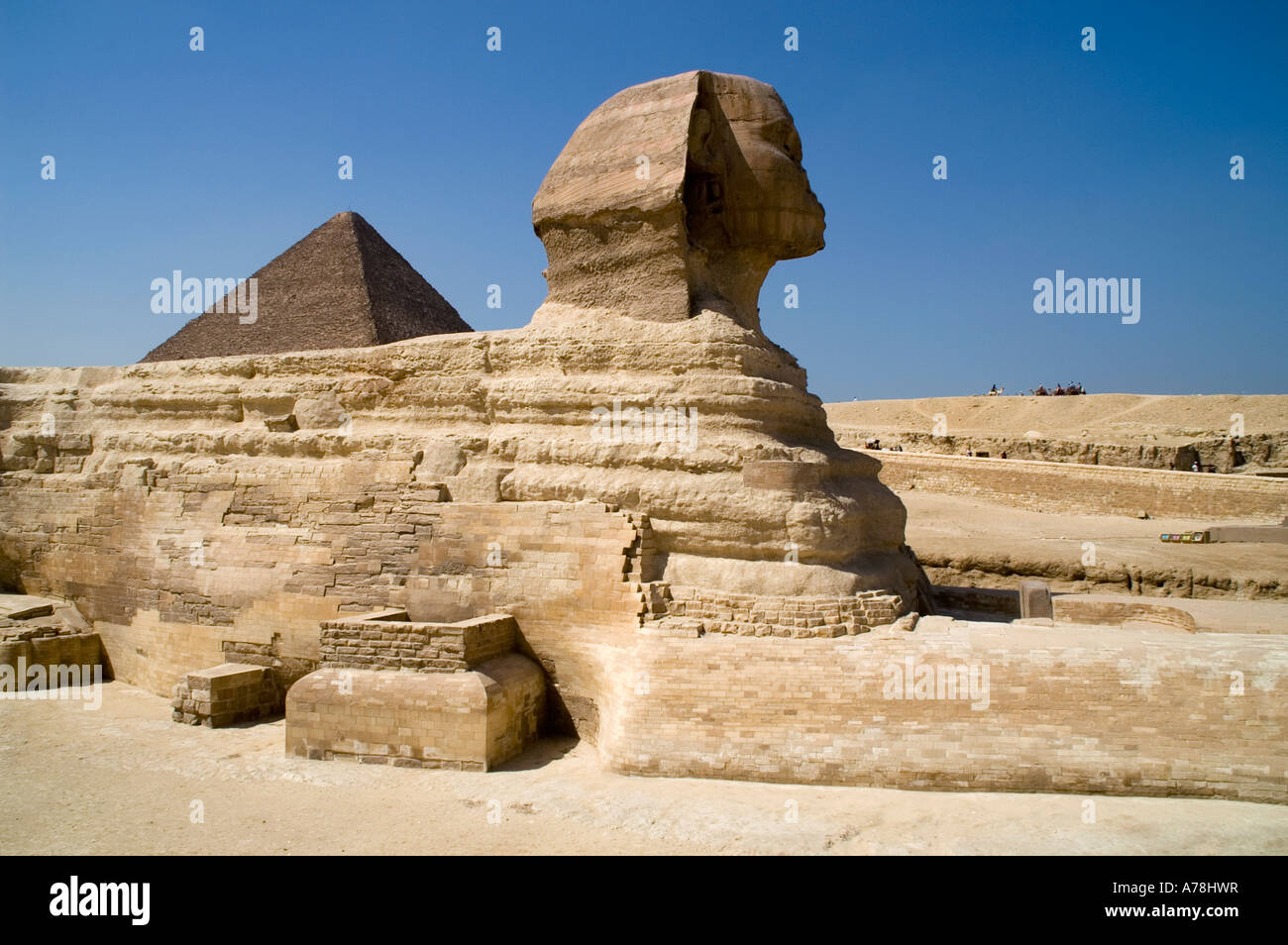 Sphinx resting in front of the pyramid of Khufu Cheops Giza Cairo Egypt Stock Photo