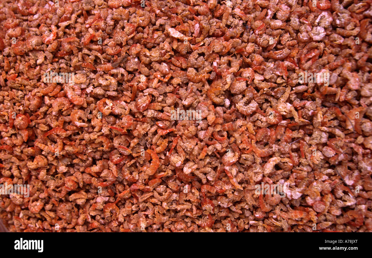 Philippines Cebu food Carbon Market dried shrimps Stock Photo Alamy