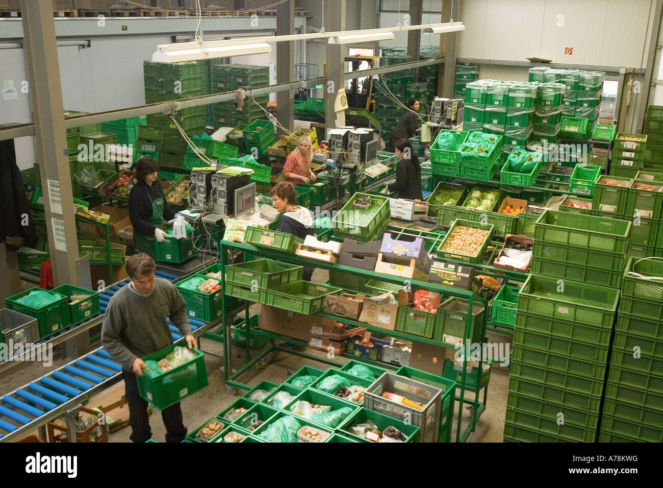 workers packing boxes with organic vegetables and fruit for daily