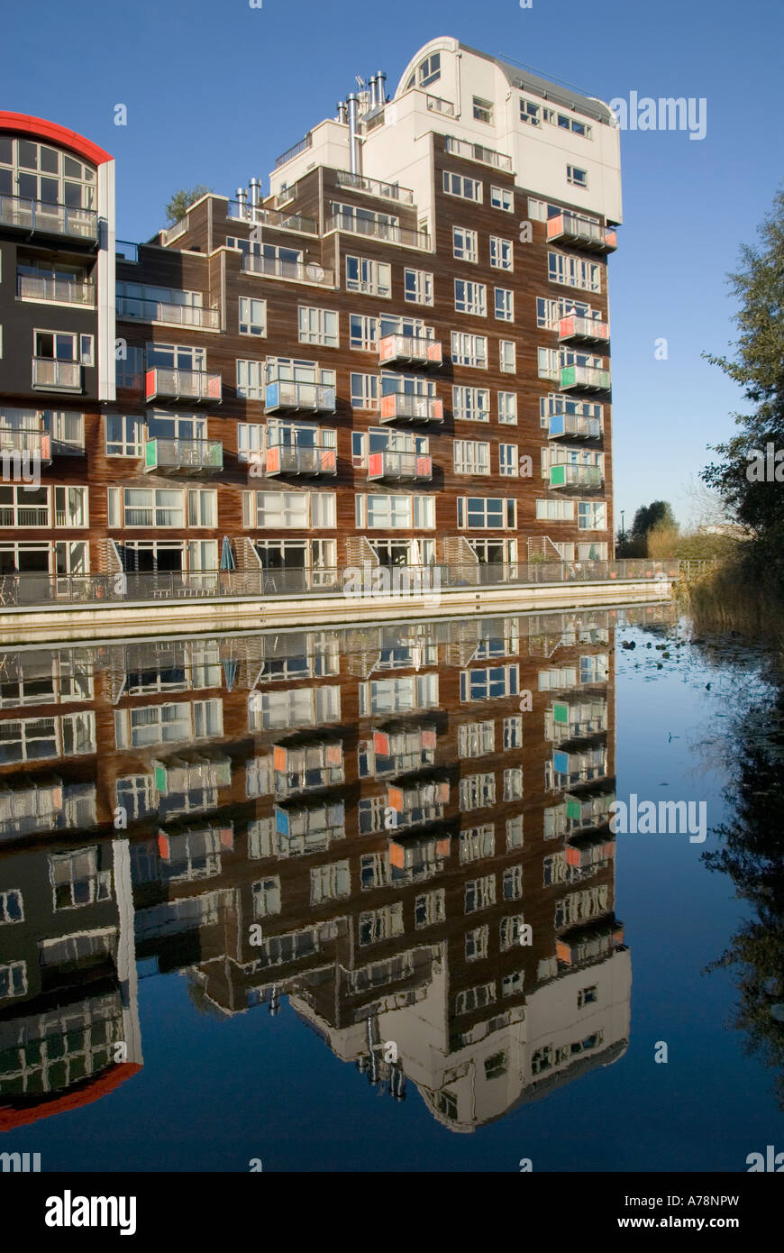 Greenwich Peninsula housing development beside water Stock Photo Alamy