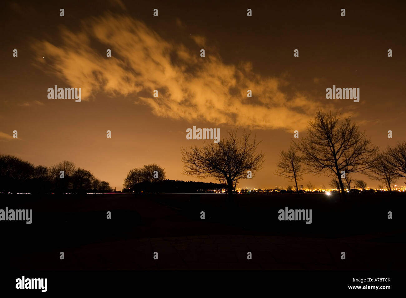 Phoenix Park Dublin skyline with sparse clouds and trees silhouetted in