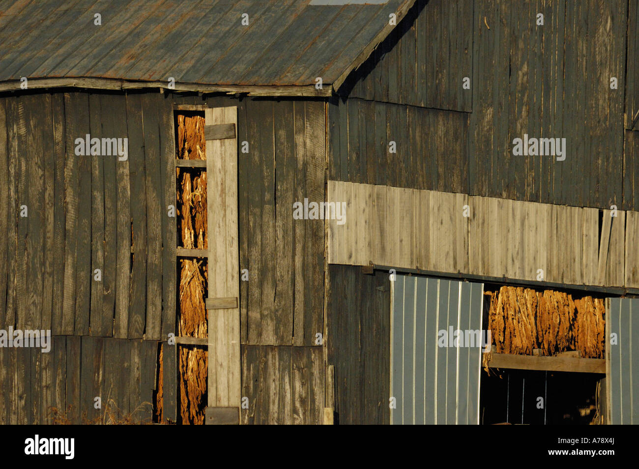 Kentucky Tobacco Barn Stock Photo Alamy