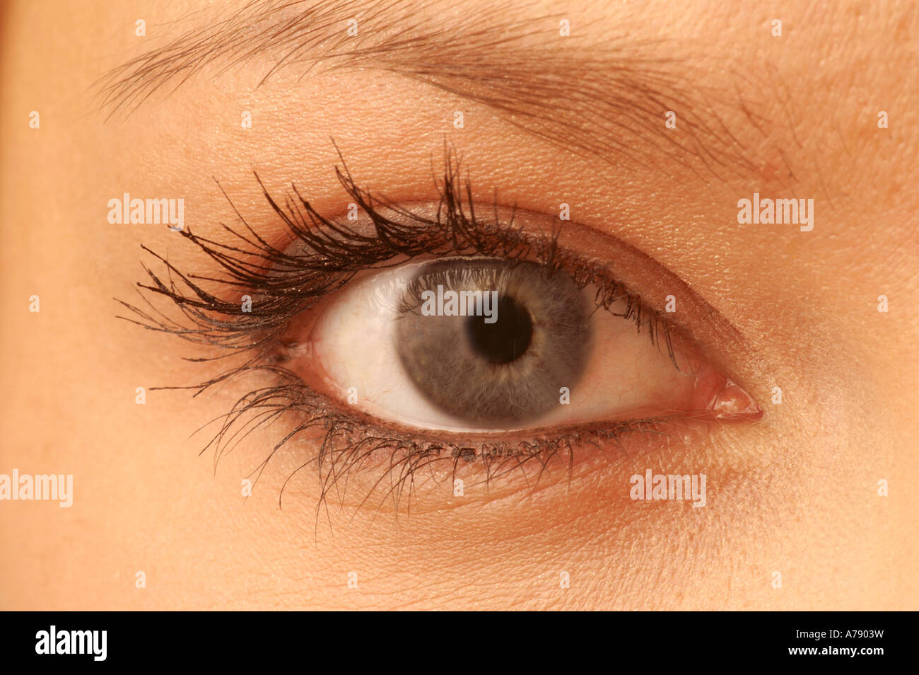 Normal woman´s eye. Stock Photo