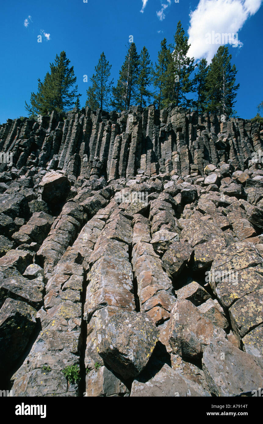 Columnar Basalt Yellowstone National Park Wyoming USA Stock Photo Alamy