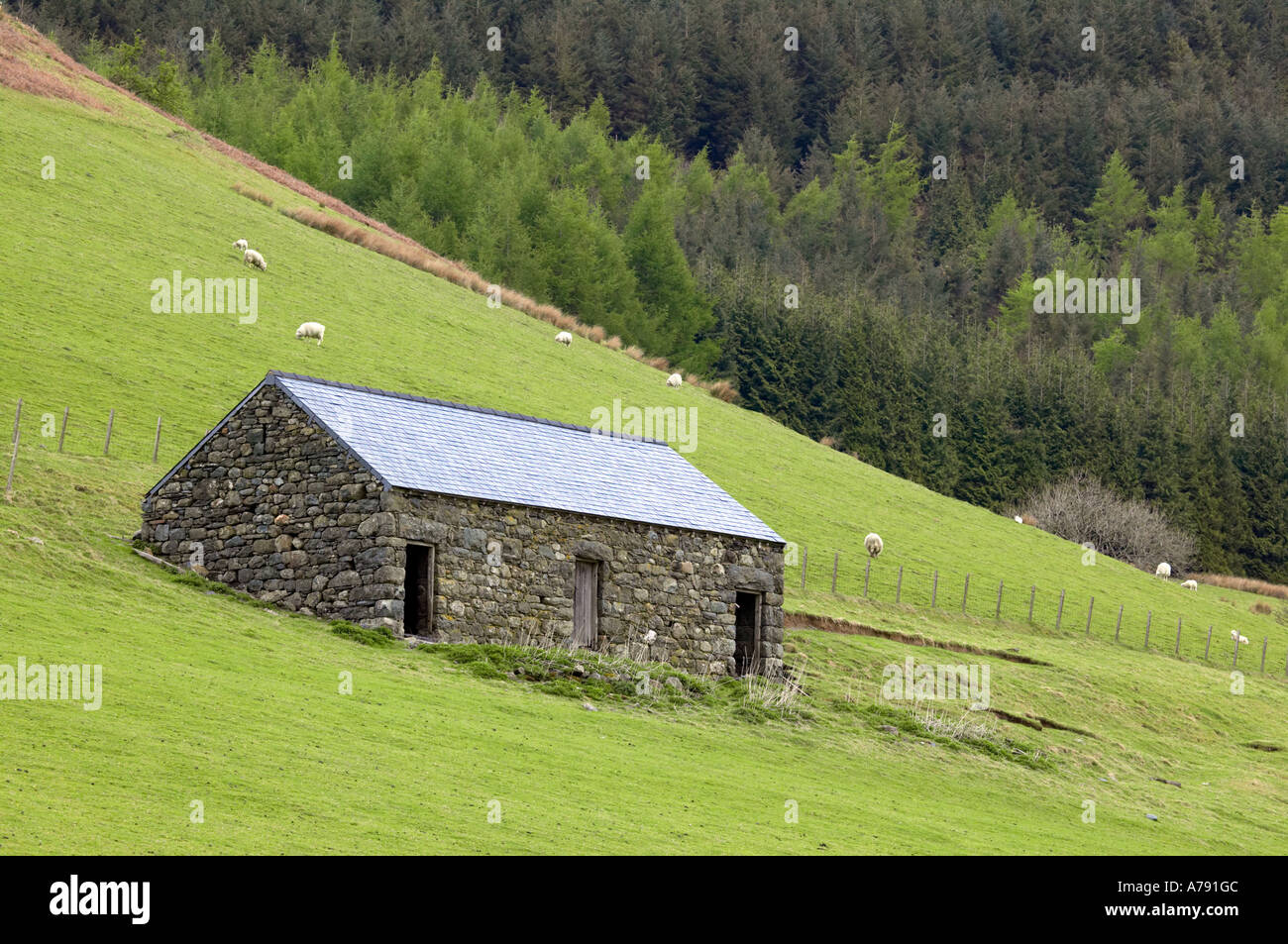 Old Stone Barn On Welsh Hillside Stock Photo Alamy