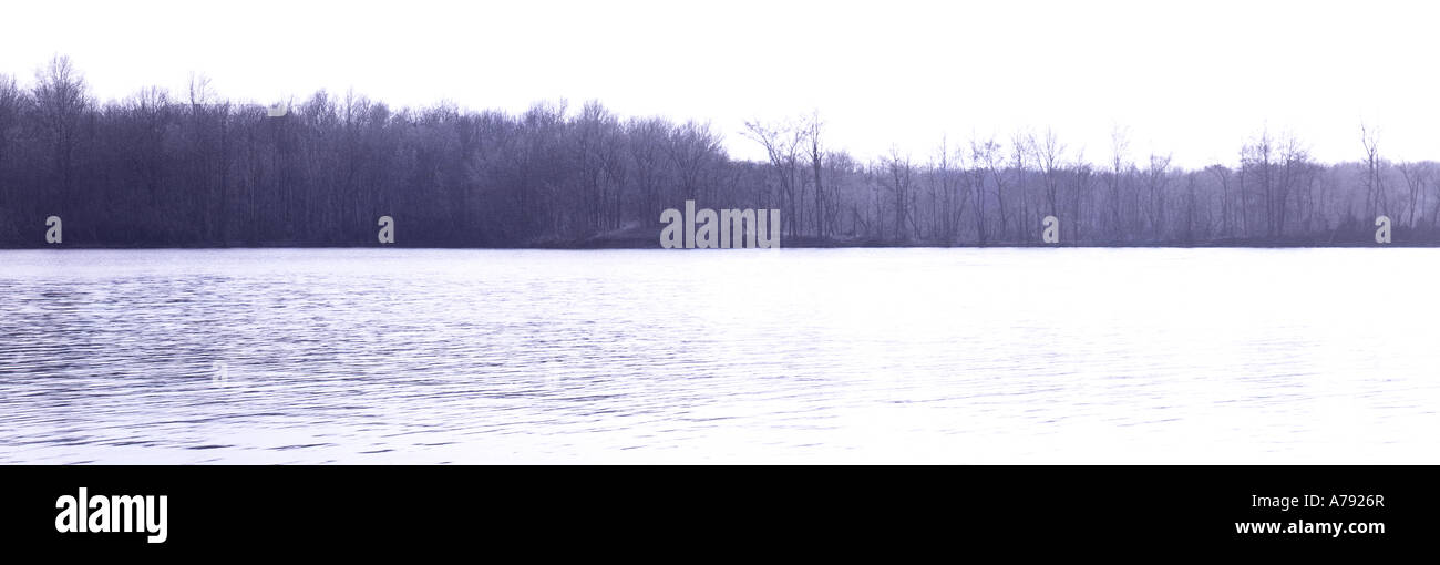 Gallery image with a fresh perspective