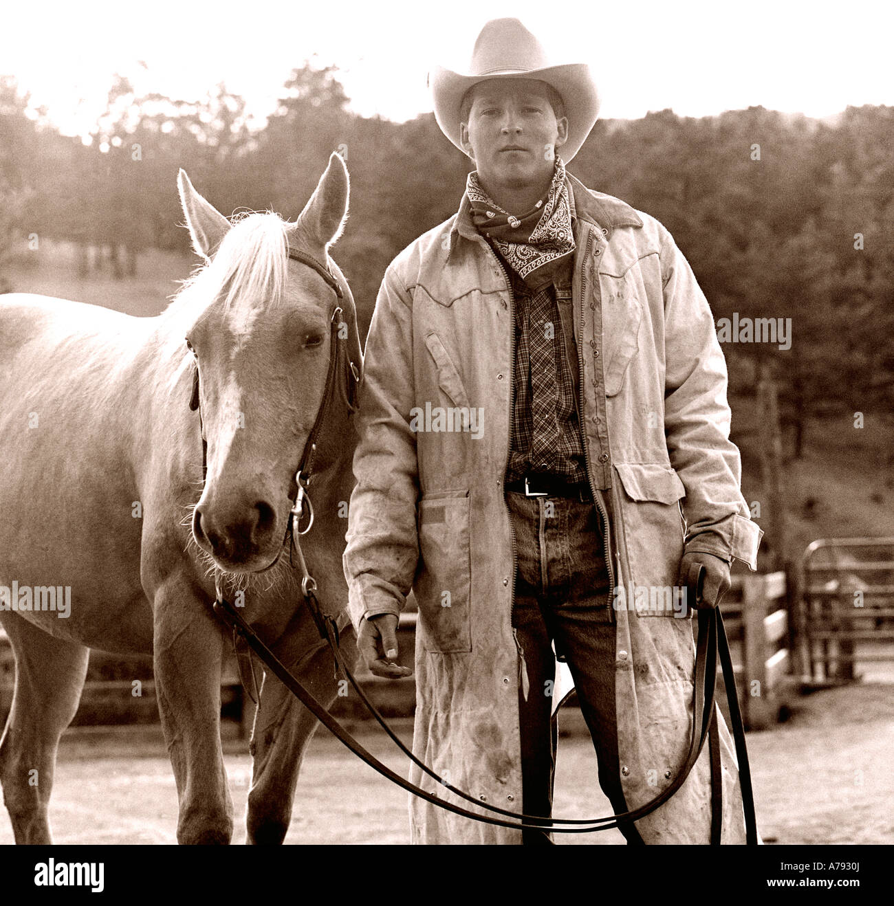 Ranch hand or cowboy at a Colorado, USA dude guest ranch Stock Photo - Alamy