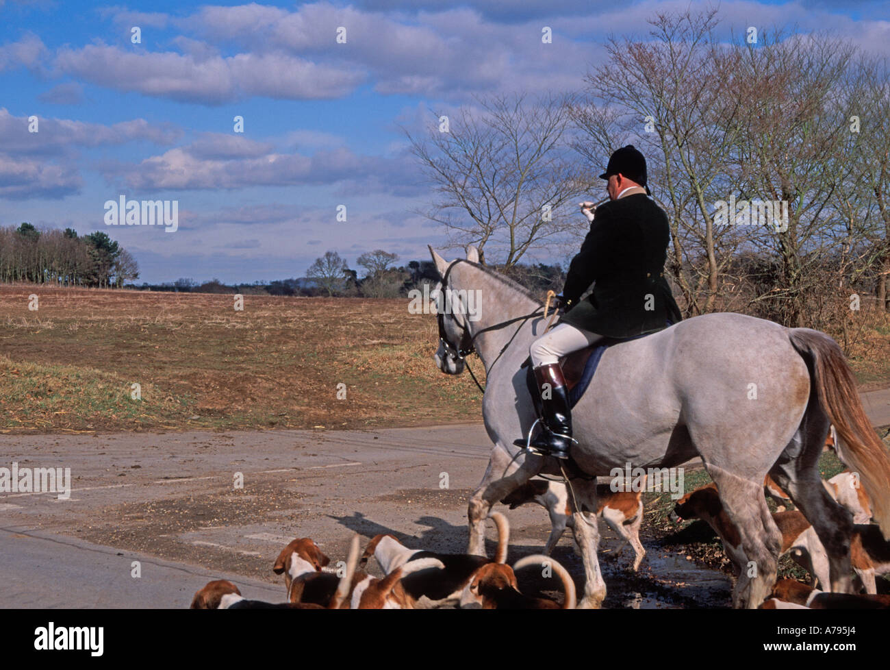 English hunting horse hires stock photography and images Alamy
