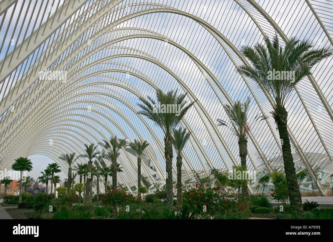 L Umbracle City of Arts and Sciences Valencia Spain Europe Stock Photo ...