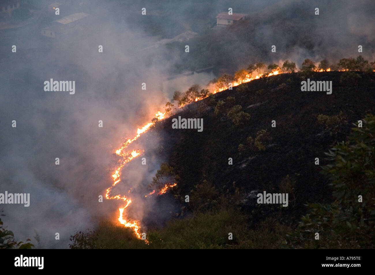 Slash and burn clearing land in India Stock Photo