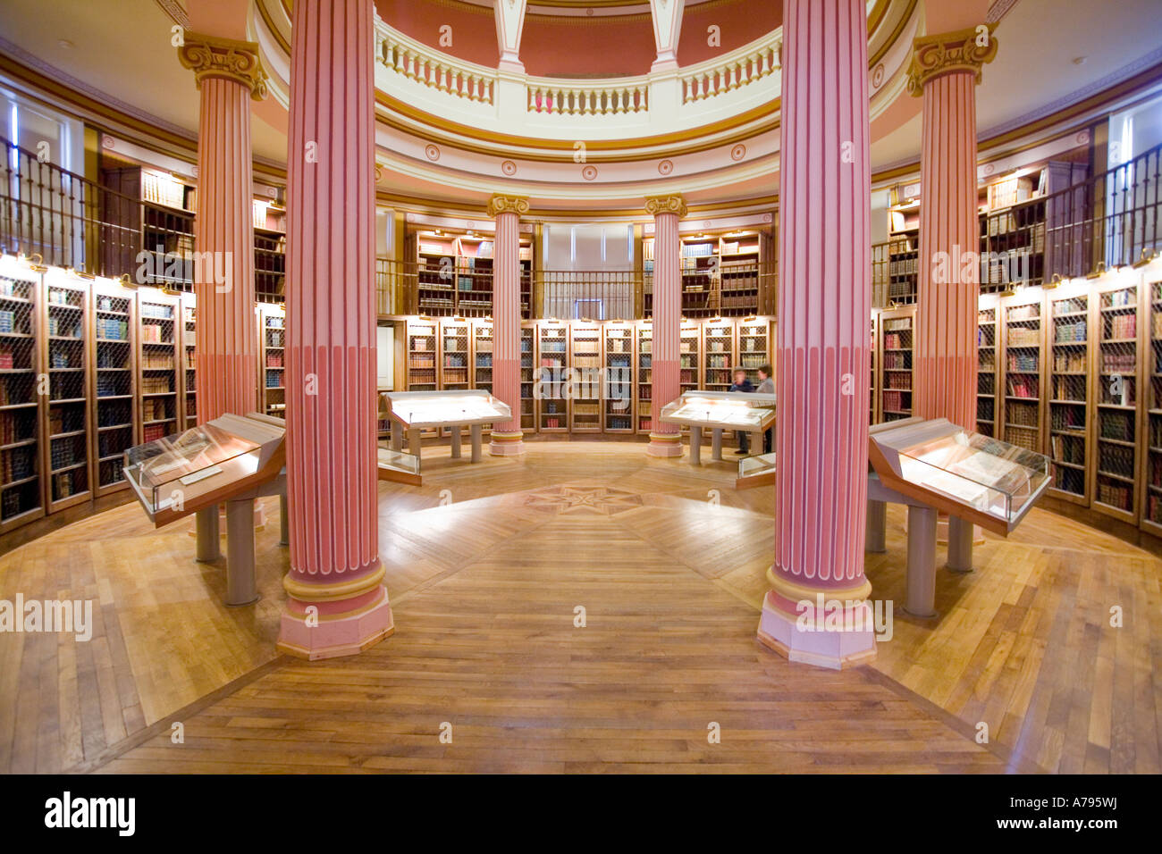 Guenon Library musee guinee library Stock Photo - Alamy