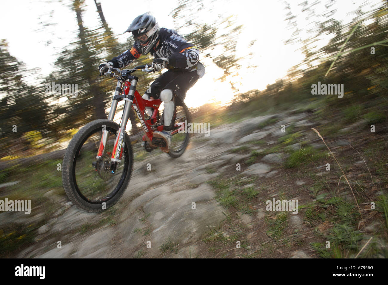 Downhill Mountain Bike Rider at Sunset Stock Photo Alamy