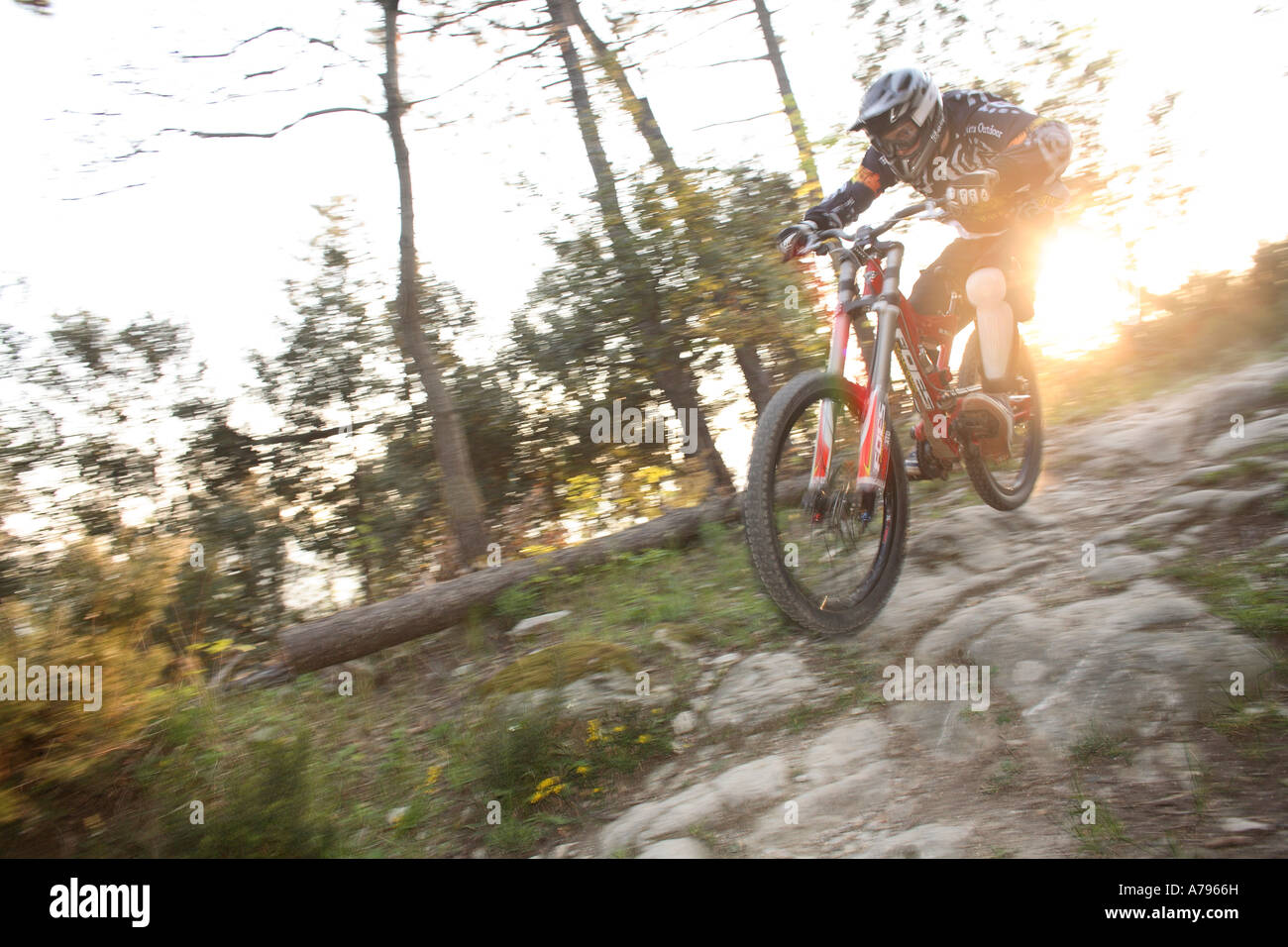 Downhill Mountain Bike Rider at Sunset Stock Photo Alamy