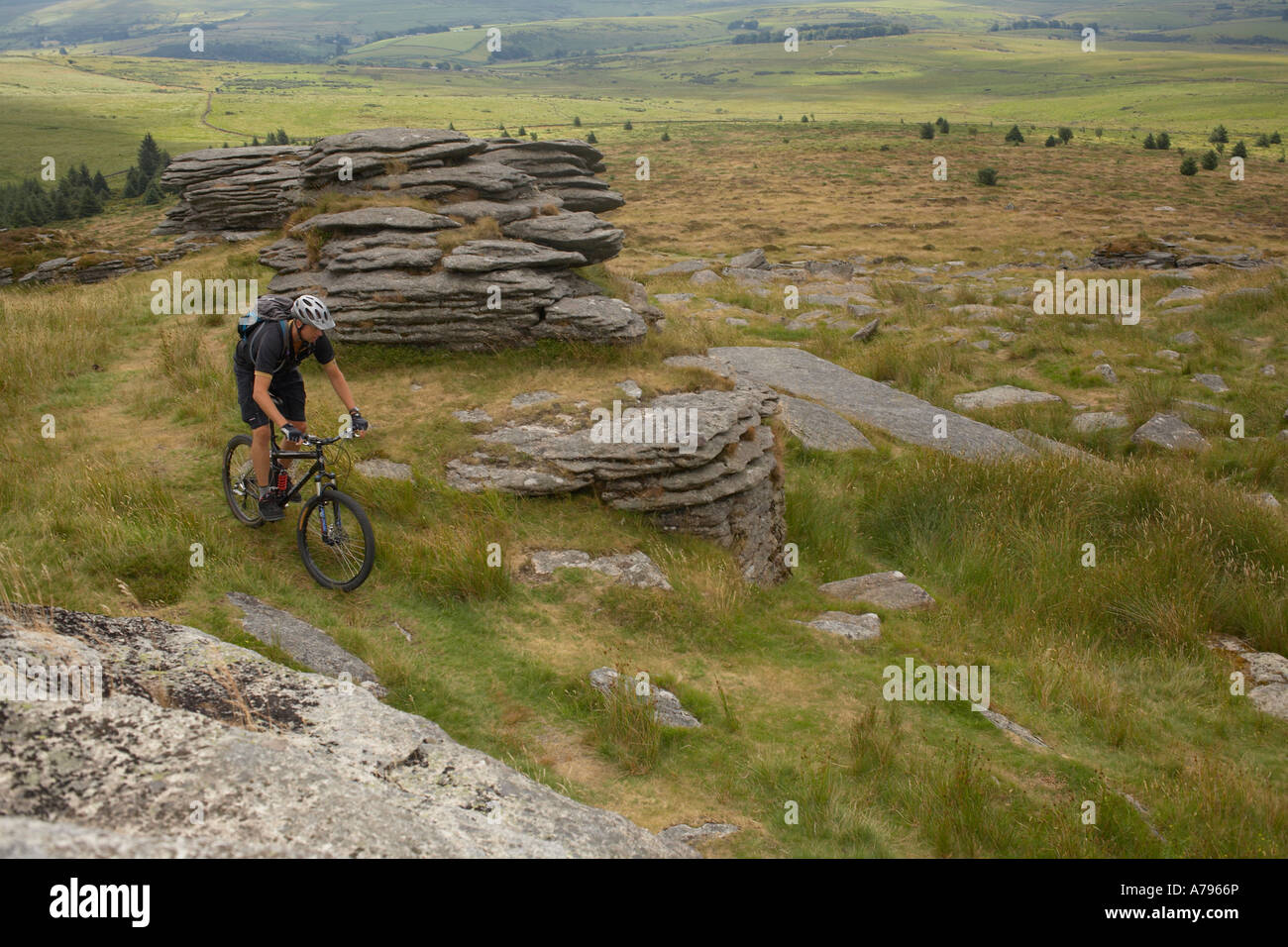 dartmoor mtb trails
