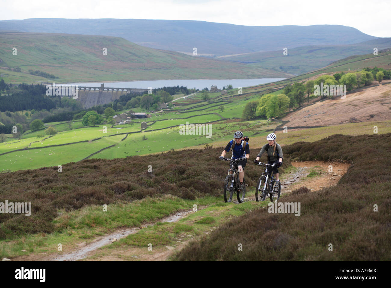 Mountain Bikers cycling on North York Moors, Yorkshire. UK. Stock Photo