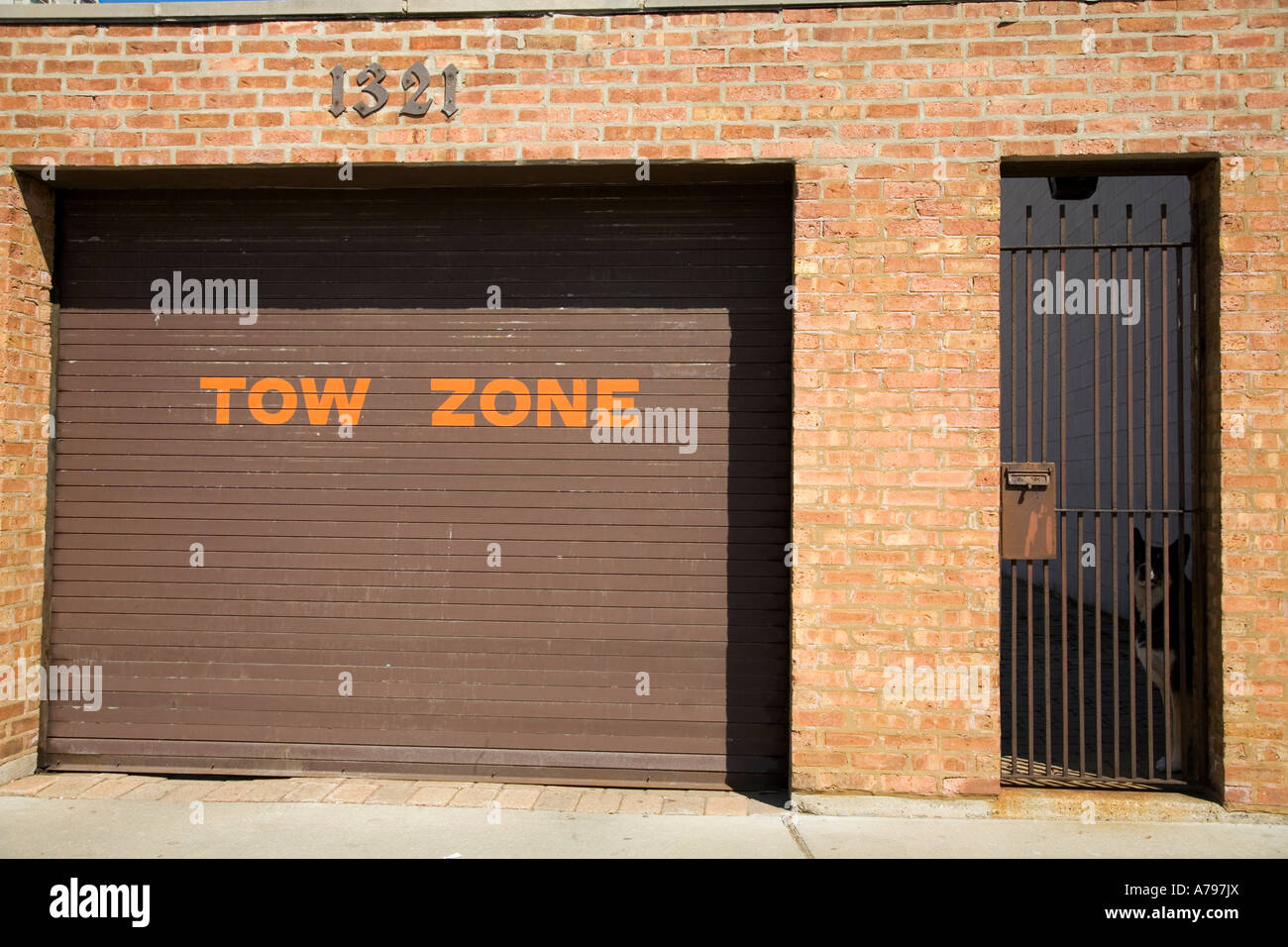 Chicago Illinois Tow Zone Sign On Garage Door German Shepherd Dog