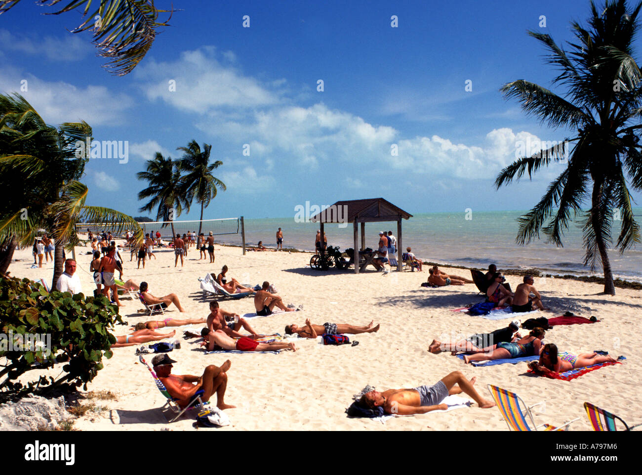 Key West Florida Beach Sea Palm Tree Trees People Stock