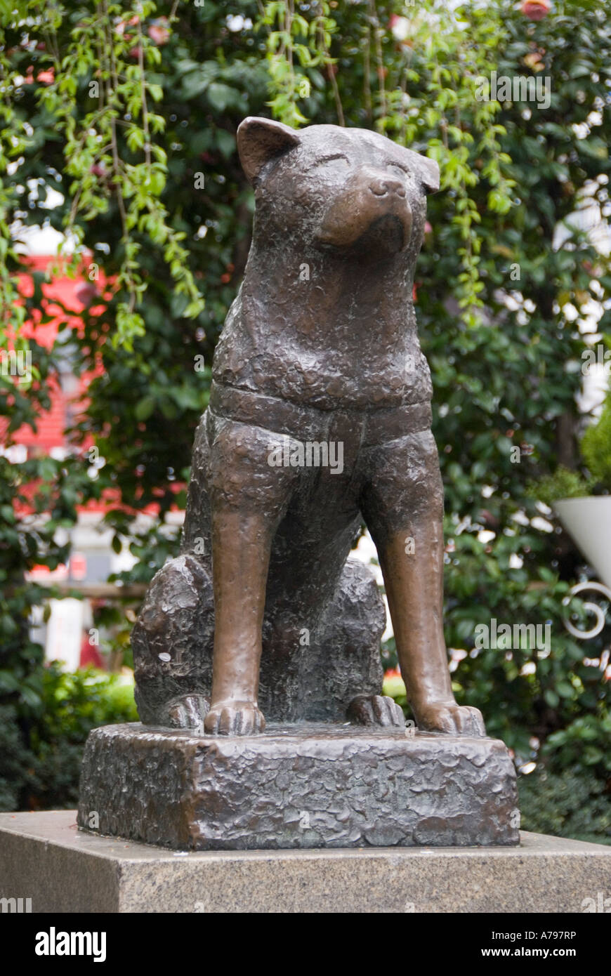 Statue of Hachiko a famous meeting place in Shibuya Tokyo Japan Stock Photo