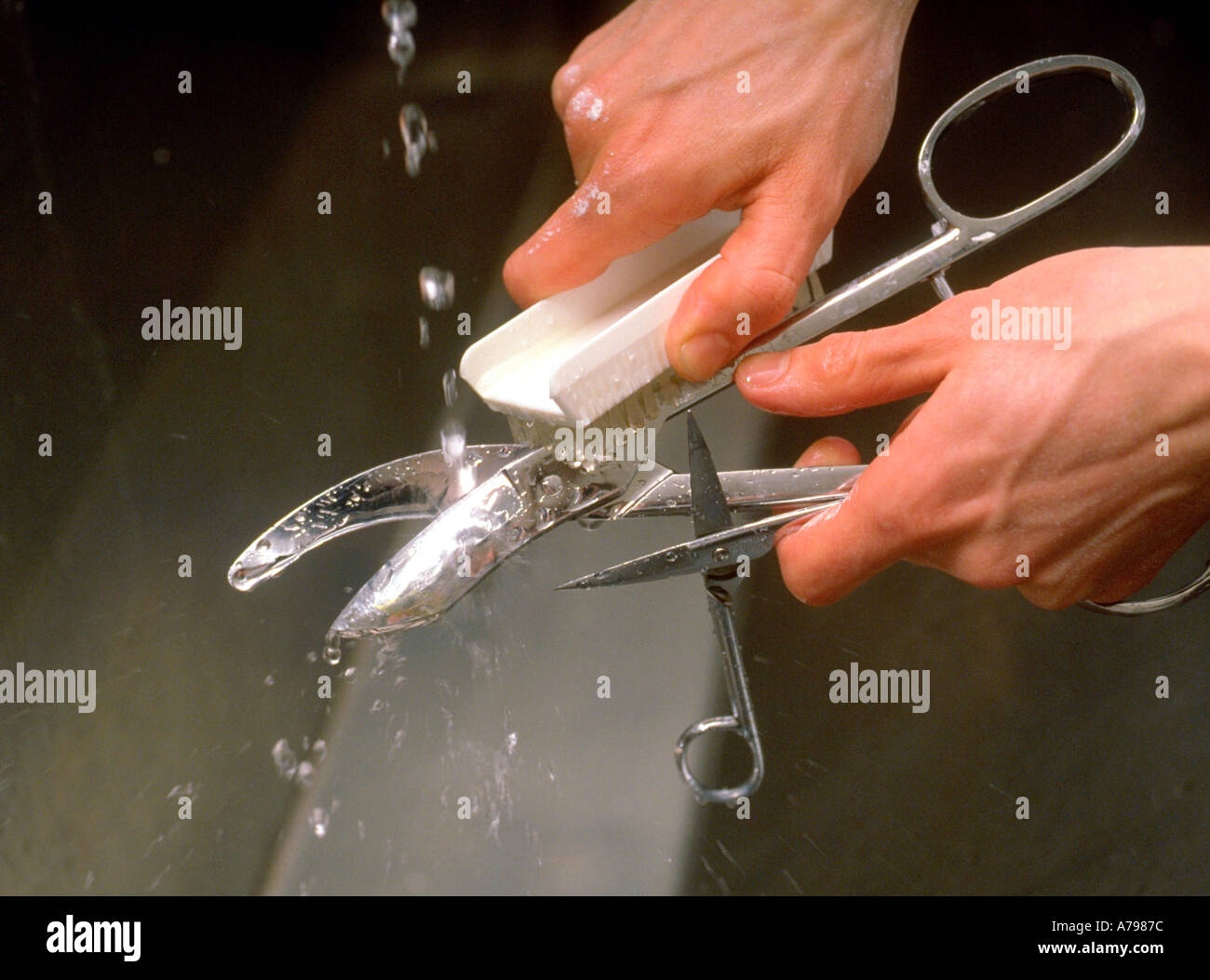 surgical instruments being cleaned Stock Photo Alamy