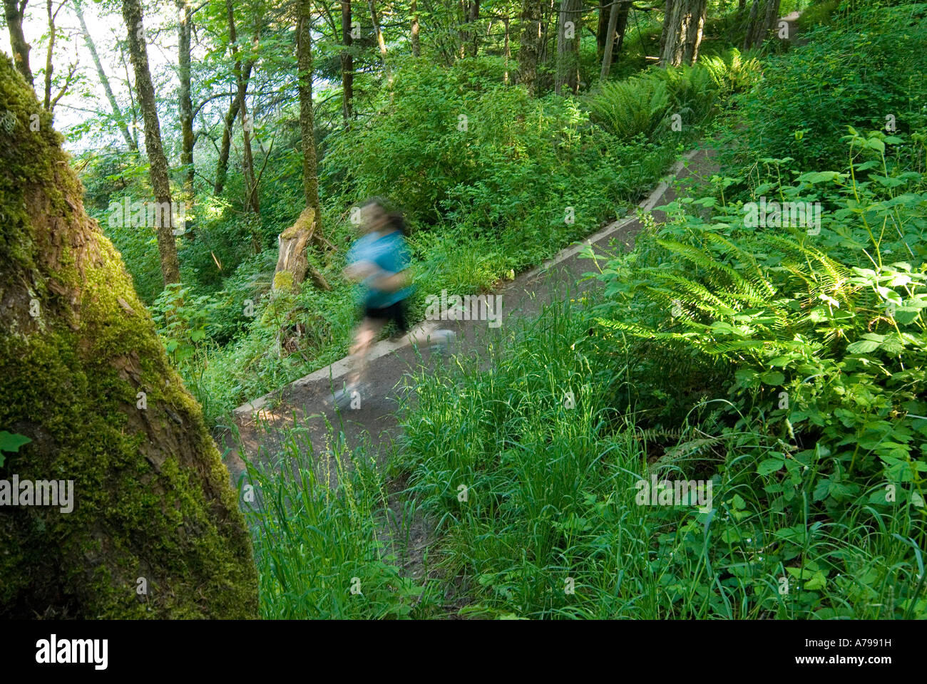 Young woman 20 30 trail running in Witty s Lagoon Regional Park Victoria Vancouver Island British Columbia Canada Stock Photo