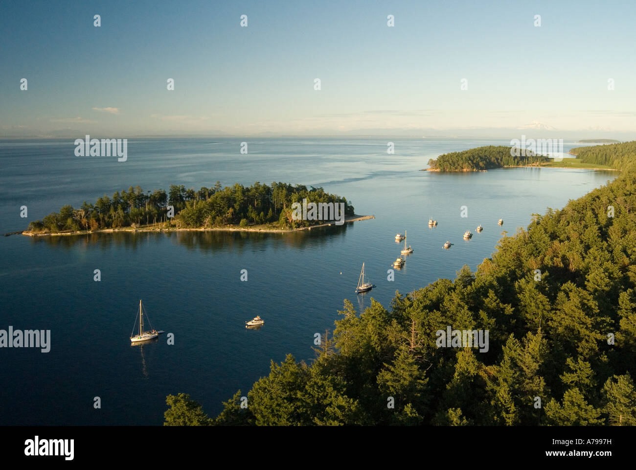 Aerial photograph of boats at Tumbo and Cabbage Islands in Gulf Islands
