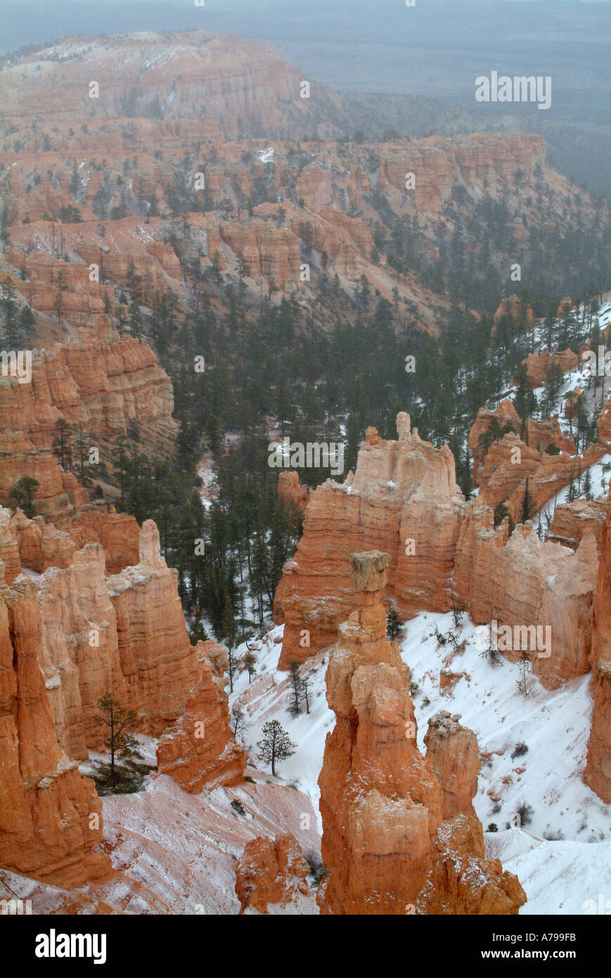 Sunset Point Amphitheater Bryce Canyon Utah Stock Photo - Alamy