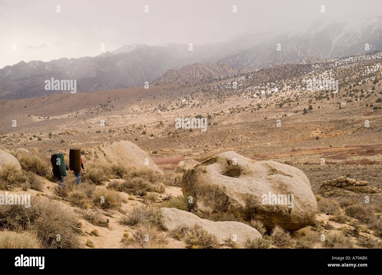 Two climbers carry crash pads through the Buttermilk Boulders near Bishop California Stock Photo