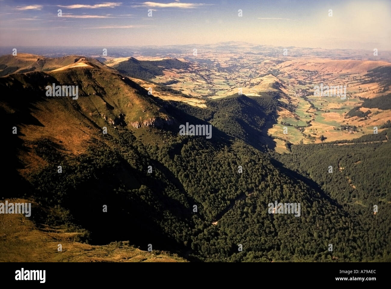 image not described image