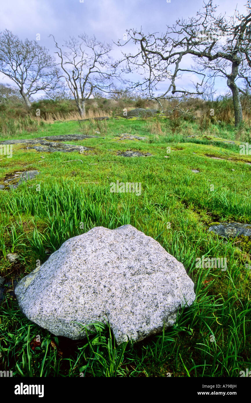 Uplands park Victoria BC Stock Photo 11767048 Alamy