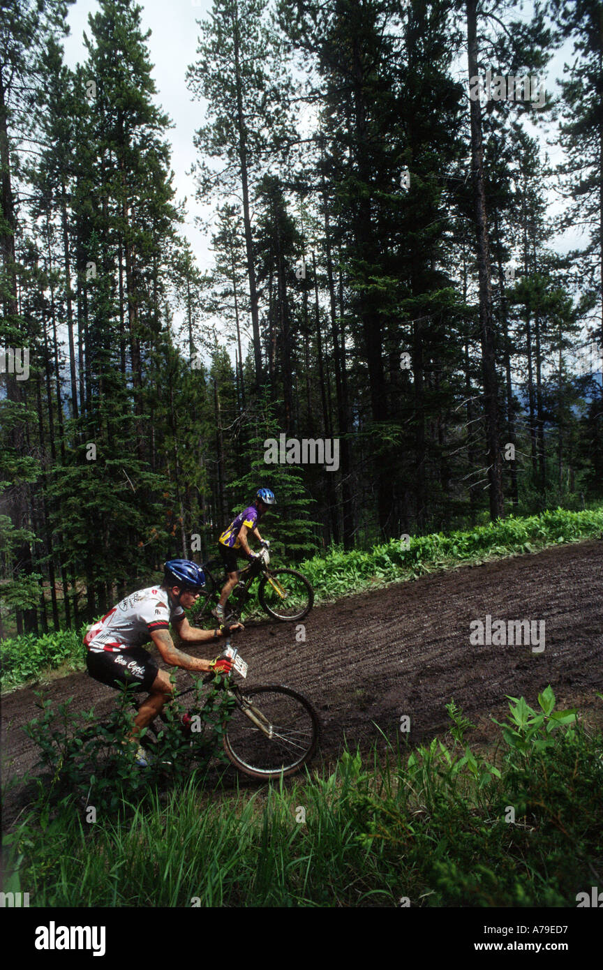 mountain Bike racer doing a hill climb Stock Photo - Alamy