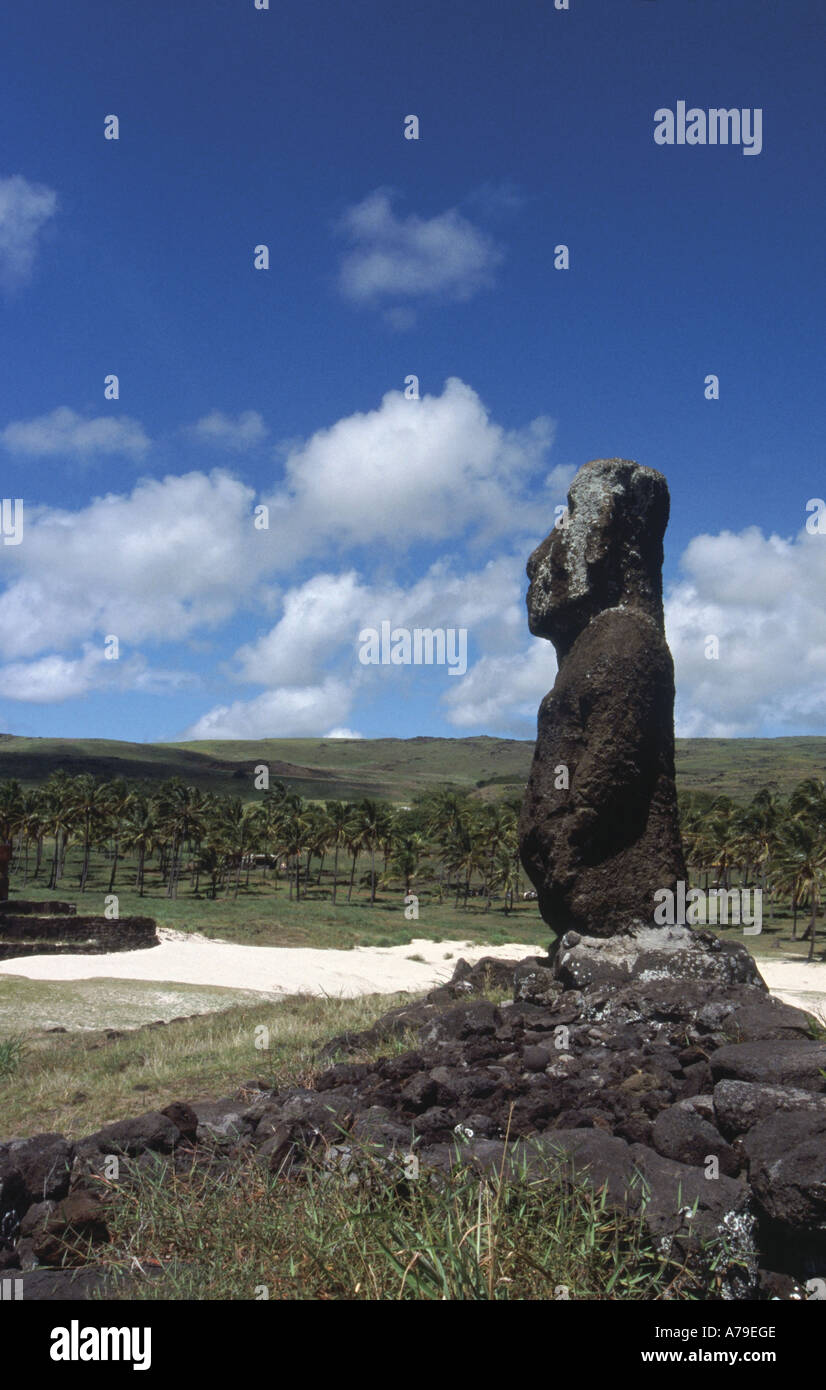 Moai restored by Thor Heyerdal on the Kontiki Expedition At Anakena Beach Easter Island Chile Polynesia Stock Photo
