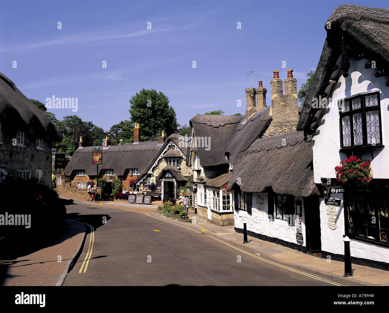 Thatched houses Shanklin Isle of Wight England Stock Photo Alamy