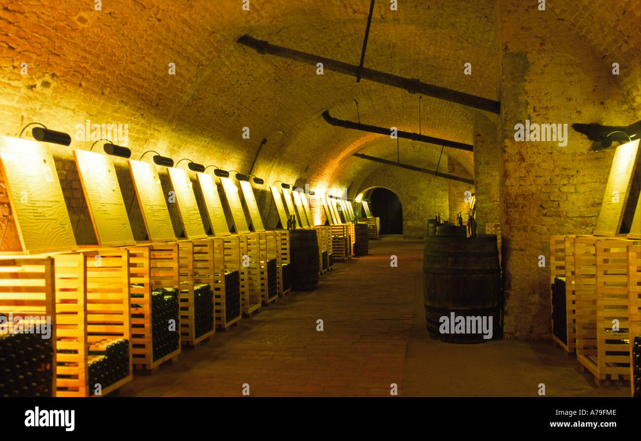 Weinkeller in Südmähren Winecellar in South Moravia Stock Photo