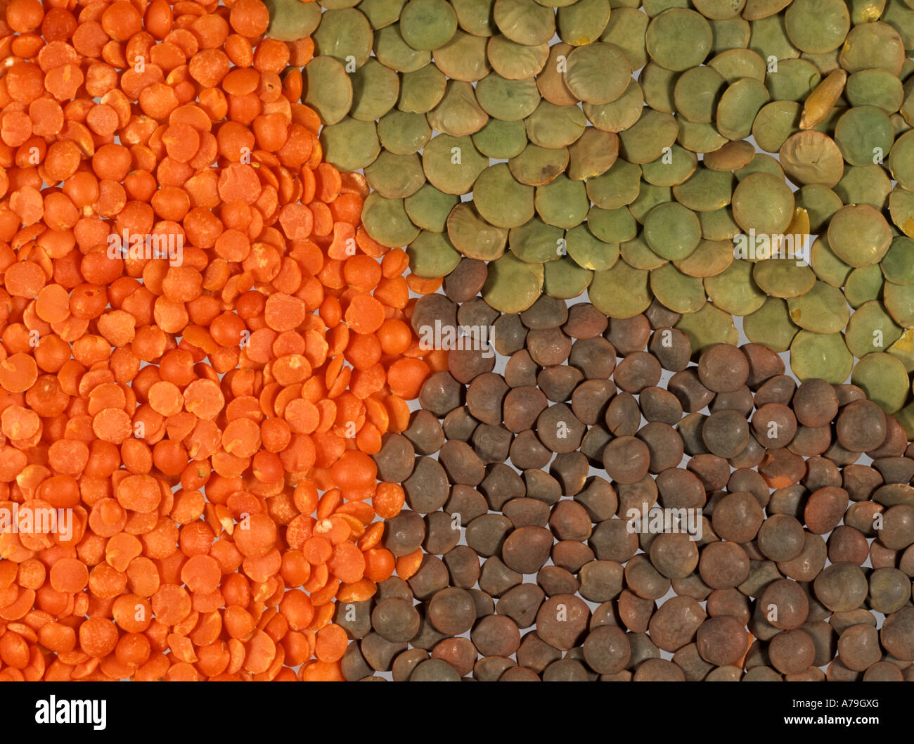 Red green and brown lentils prepared for cooking Stock Photo Alamy