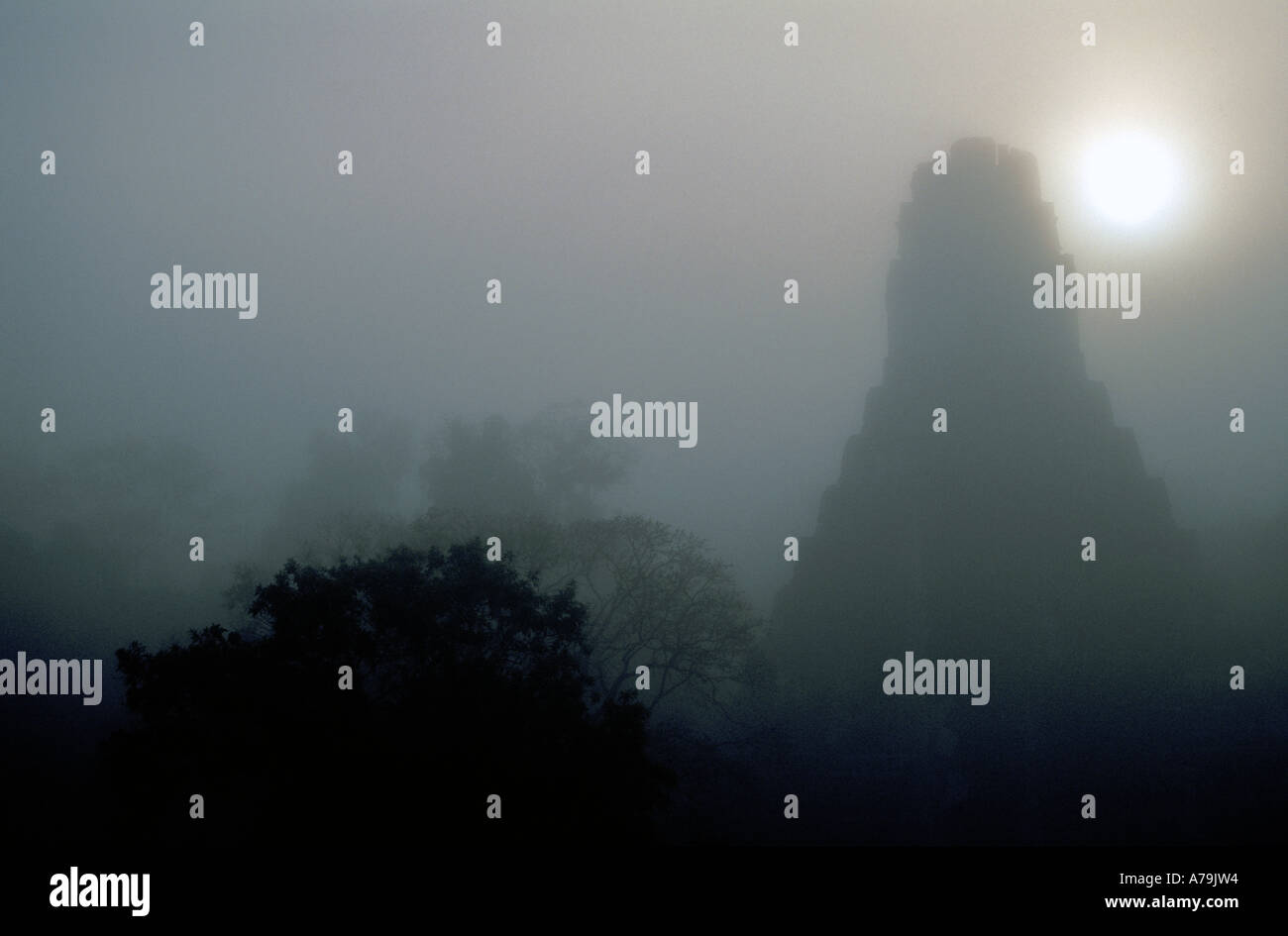 Sunrise behind Temple IV on a misty morning in the jungles and Mayan ruins of Tikal Guatemala Stock Photo