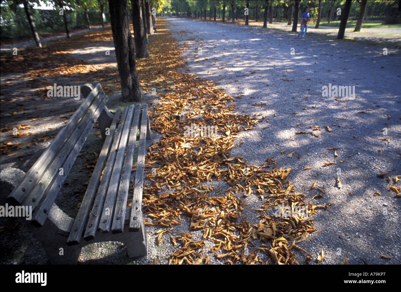 Park bench in autumn with passing jogger the Augarten Vienna Austria Stock Photo