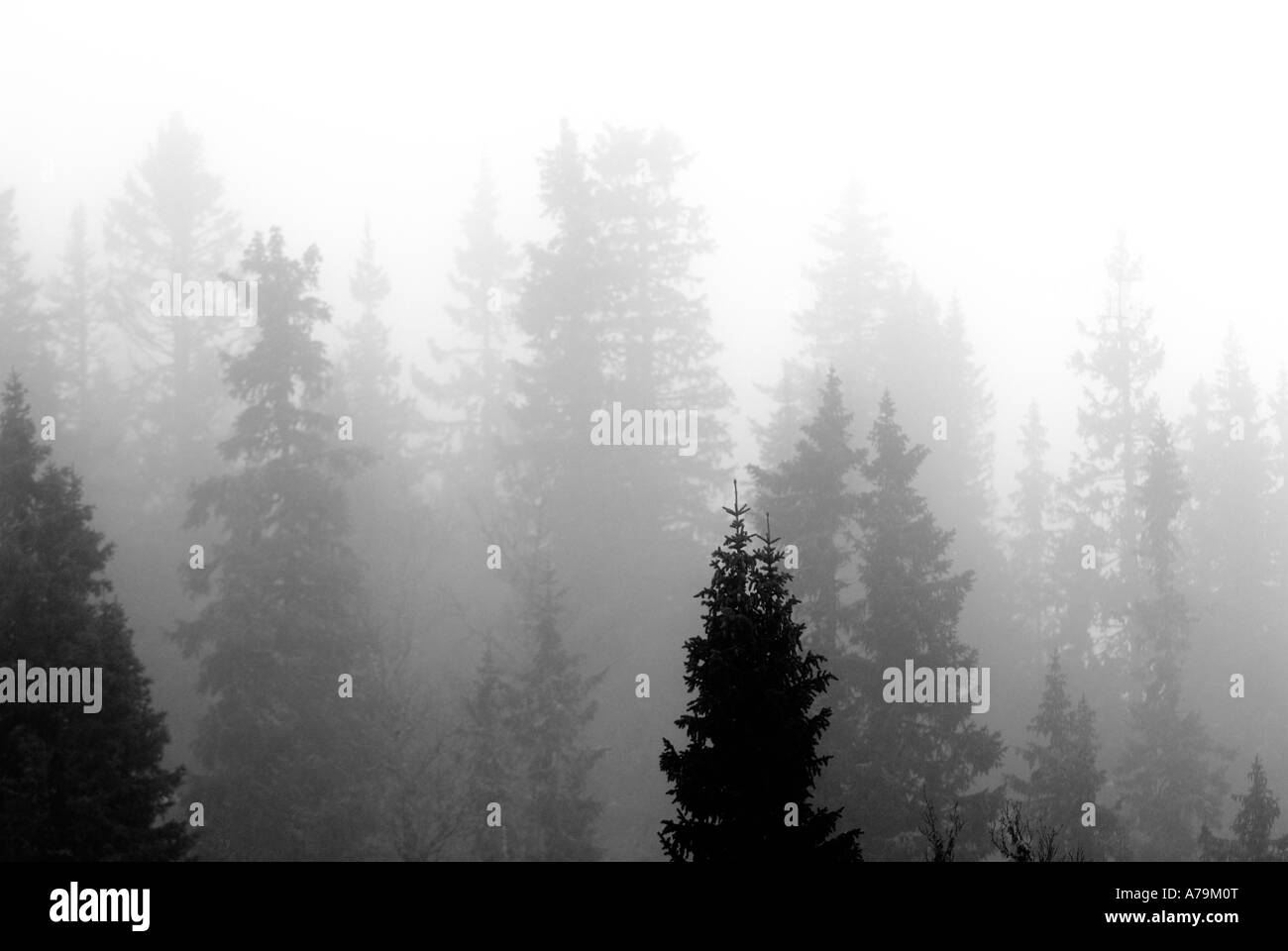 Misty grey day in Black and White Stock Photos & Images - Alamy