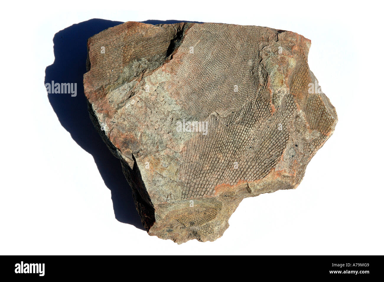 Sedimentary rocks australia Cut Out Stock Images & Pictures Alamy