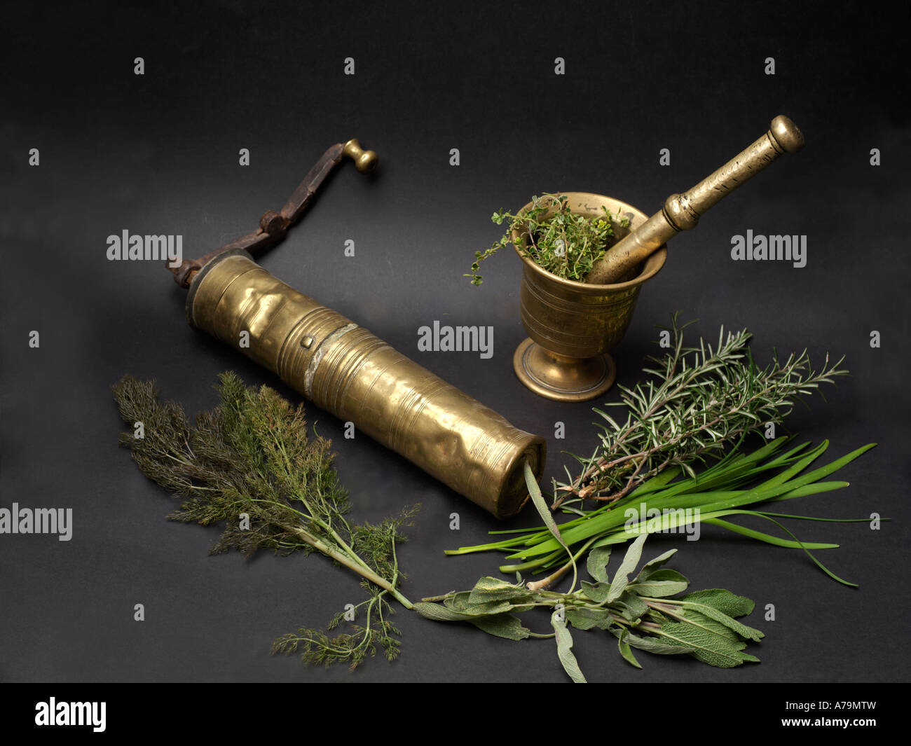 Herbs Brass Pestle & Mortar Stock Photo Alamy