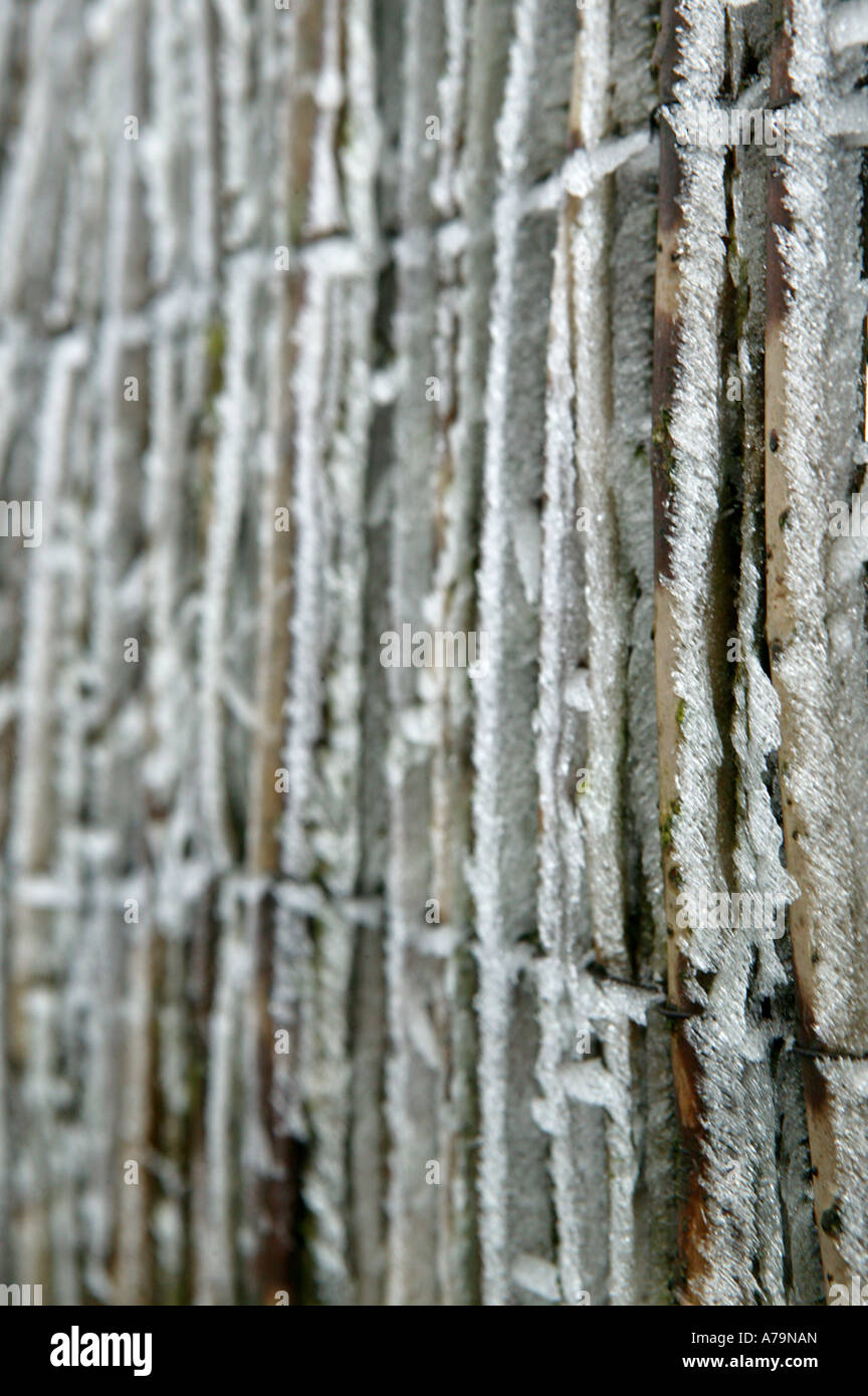 frost or ice stuck to wicker fence winter concepts offered by this graphical image in the garden Stock Photo